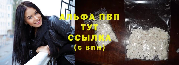 спиды Каменка