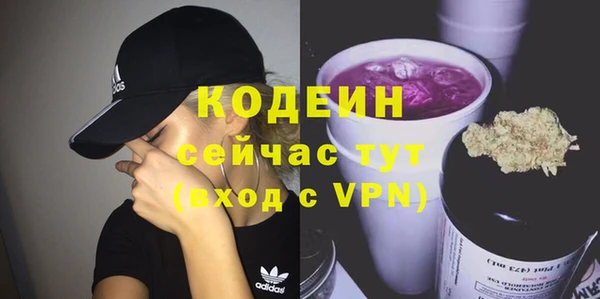 спиды Каменка