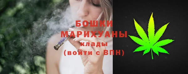 спиды Каменка