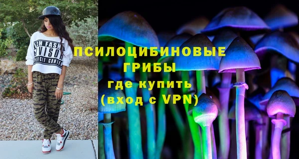 кокс Каменногорск