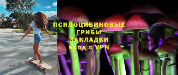 спиды Каменка