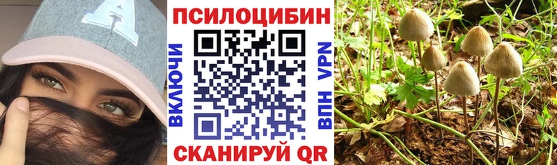 Купить где  Ипатово  Галлюциногенные грибы ЛСД 